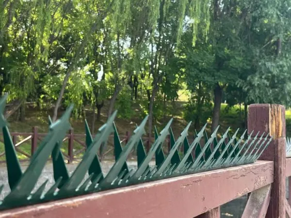 High Security Fence Spikes Wall Spikes photo-4