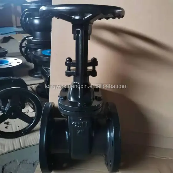 ANSI 125lb 150lb 3 Inch Cast Iron Flanged Gate Valve Brass Seal 2Cr13 Stem Bronze Seat Gate Valve for Pipe Connection photo-6