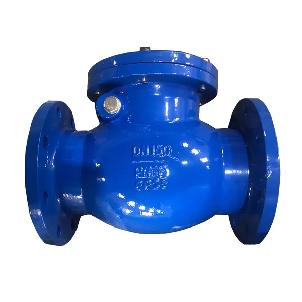 BS5153 Flap Check Valve GGG50 Rubber Seal One Way Backflow Prevention Valve photo-2