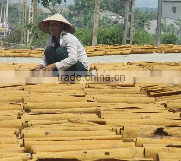Split Cassia/Cinnamon Vietnam New Crop 2016 Best- Selling