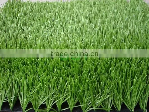 Gymnasium Use Cheap Artificial Grass Carpet photo-2