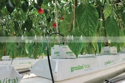 Tomato Cucumber Planting Bar Greenhouse Soilless Cultivation Rock Sliver photo-4