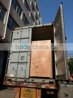 Machine for Making Water Cone Cup Ice Cream Paper Cone Sleeve Machine for 18 Years Experience photo-6