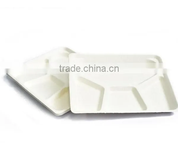 HGHY Bagasse Plate Machine of Pulp Molding China photo-6
