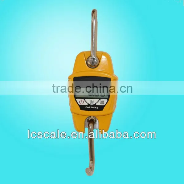 Portable Crane Scale