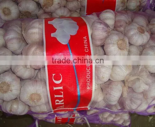 Purple Mesh Bag Fresh Normal White Garlic photo-3