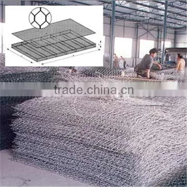 Galvanized and Pvc Hex Wire Mesh for Sale photo-4