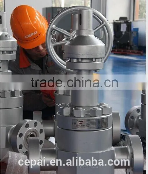 Globe Valve/API6A Globe Valve/Forged Gate Valve/Cameron Valve photo-2