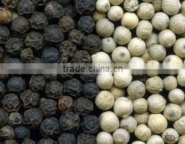 Black Pepper/ White Pepper/ Black Pepper Corns (Mobile: 0084965152844)