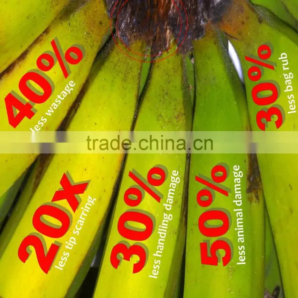 Banana Clip-Sheet photo-4