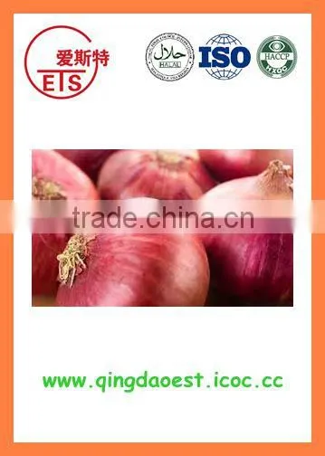 Fresh New Crop Red Onion From China photo-2