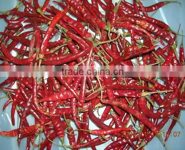 Dried Red Chillies With Stem