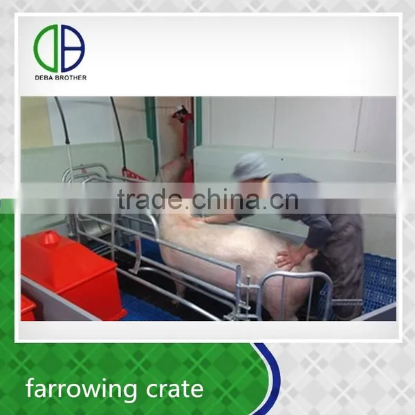 Pig Cage Factory Supply Pig Farrowing Building photo-2