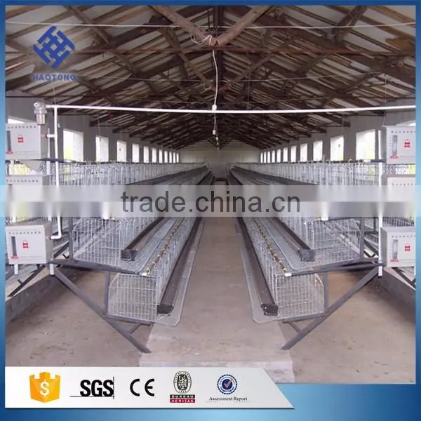 30 Years' Factory Supply Automatic Chicken Cage photo-4