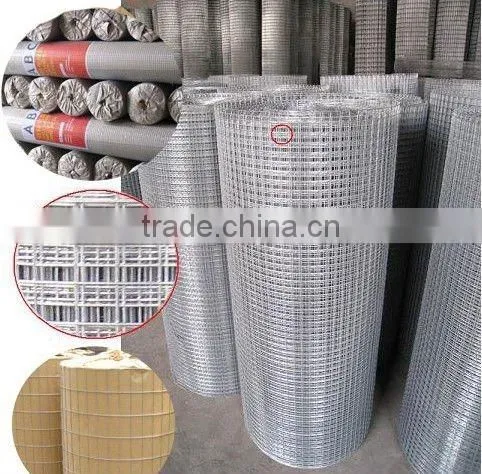 Welded Wire Mesh/ Galvanized Welded Wire Mesh Cheap photo-2