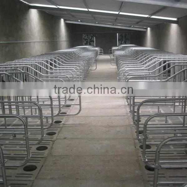Hot Sales Gestation Stalls for Pigs photo-6