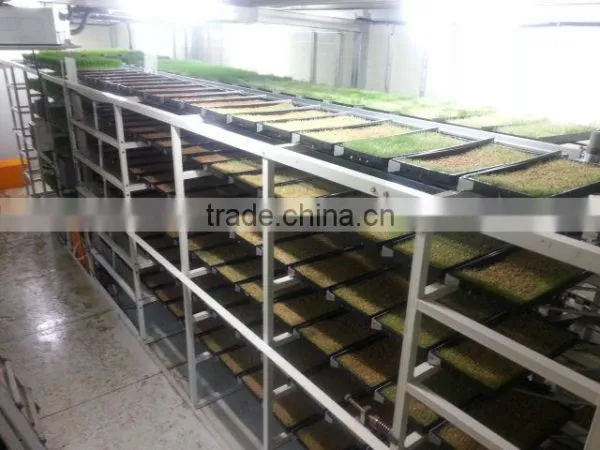 BK Conveyor Culture photo-4