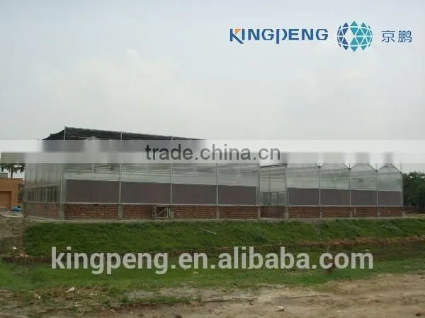 Multi Span Polycarbonate Sheet Greenhouse photo-3