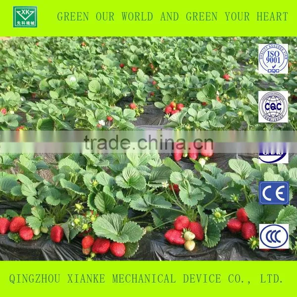 Good Daylight and UV-resistance Vegetable/fruit/flower Greenhouse photo-3