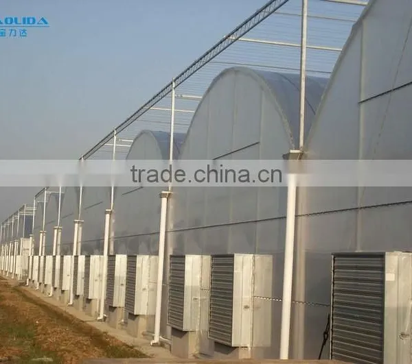 Commercial Plastic Hoop Vegetable Greenhouse photo-2