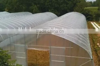 Baolida Simple Tunnel Green House photo-2