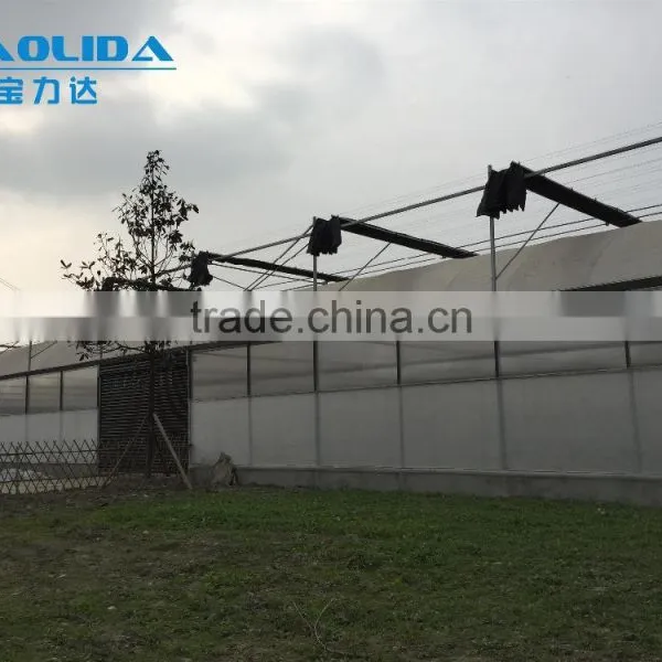 Large Plastic Film Multi-span Greenhouse for Plant Growing or Commercial Use photo-2