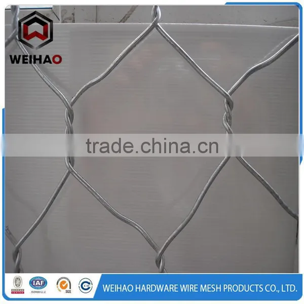 Anping Hot Dipped Galvanized Hexagonal Wire Mesh photo-2