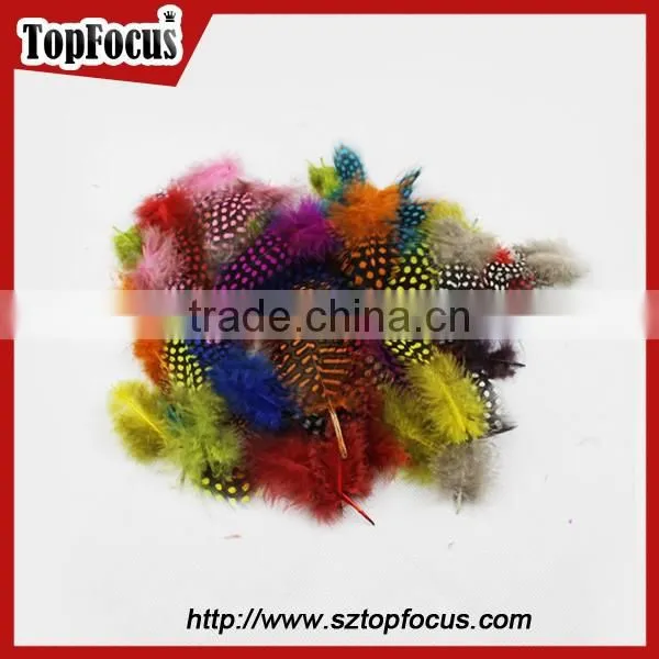 Cheap Dyed Guinea Fowl Wholesale Artificial Feathers for Carnival Costumes photo-2