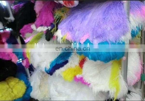 Wholesale South Africa Ostrich Feathers for Decoration Wedding Ostrich Feathers photo-5