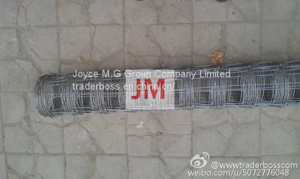 Custom and Supply Welded Crimped MeshExpanded Metal / Sheets Perforated Sheets Supplier Joyce M.G Group Company Limited photo-3