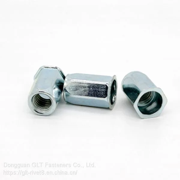 Pop Rivet Nut m6 Hex Flat Head Rivet Nut photo-5