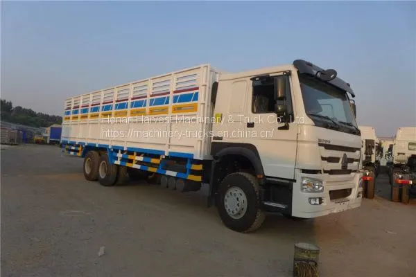 SINOTRUK HOWO 6x4 Left Hand Cargo Truck With 12R24 Tyres in Djibouti, Somalia, Somaliland photo-3