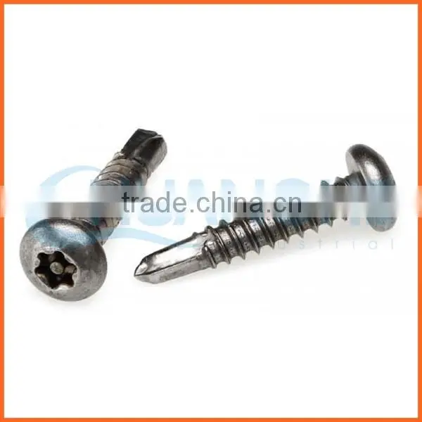 China Supplier Stainless Steel Torx Truss Head Anti-theft Screw photo-3
