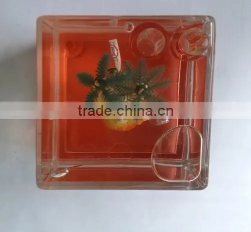 Water Cube Items, Home Decoration photo-2