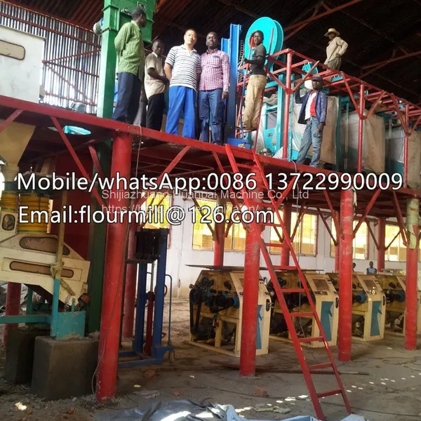 Automatic Conservation Energy 50T Maize Wheat Flour Milling Machine Corn Processing Line Grain Product Making Machine photo-5