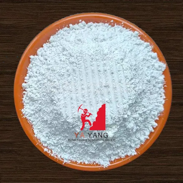Calcium Carbonate - Heavy and Light Calcium Carbonate Powder Bulk Carbonate Manufacturer photo-4