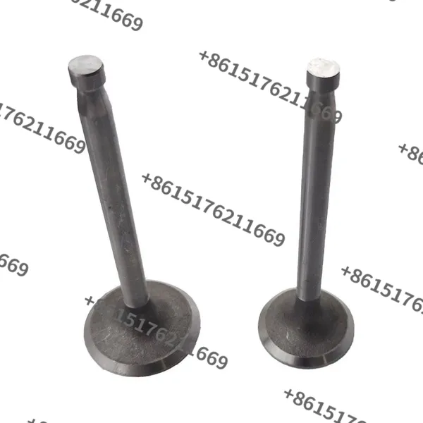 China Factory Supply S195, S1100, S1105, S1110, S1115, S1125 Diesel Engine Valve Kit photo-4
