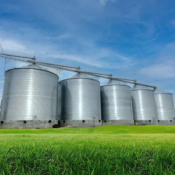 Flat-bottom Silo photo-1