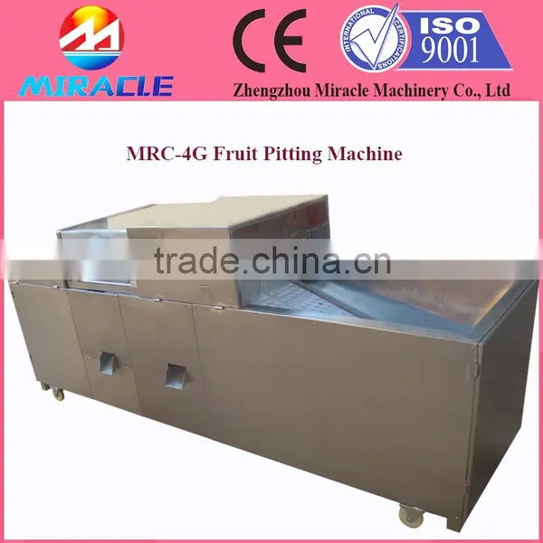 Fast Delivery Date Palm Core Seed Removing Machine From Fruit Process photo-3