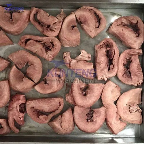 Low Temperature Freezing Pig Kidney Heart Liver Meat Lyophilize Freeze Dryer Dried Food Machine EPC photo-4