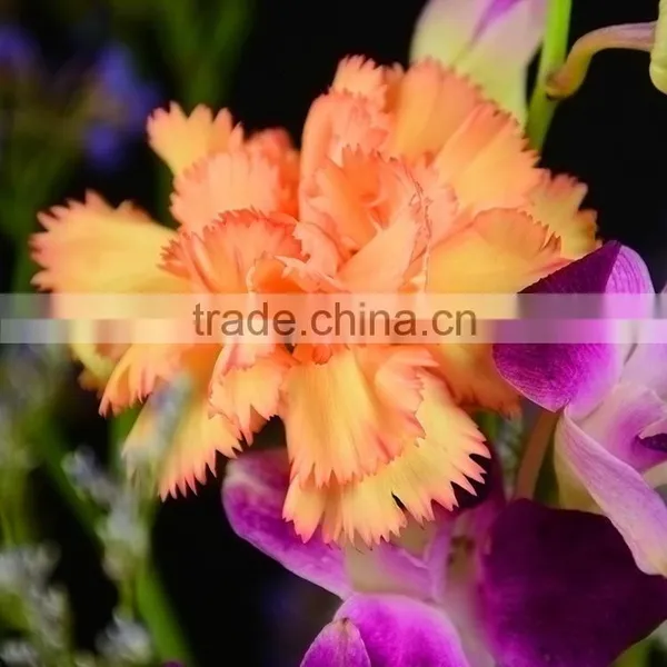 Durable Carnival Single Stem Carnation Flower photo-6