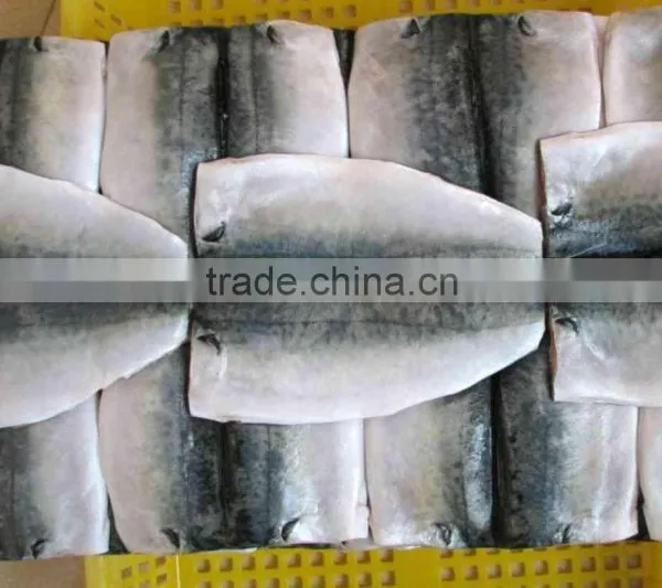Mackerel(scomber Japonicus) Flaps photo-2