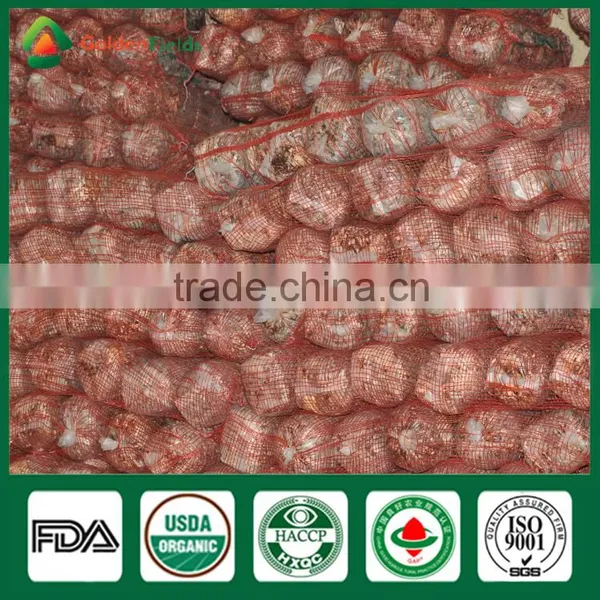 Mushroom Seller Agricultural Products Vegeatable Fresh Dried Shiitake Mushroom Log Shiitake Mushroom Spawn for Mushroom Farm photo-5