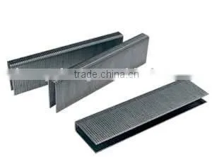 N Series Staple