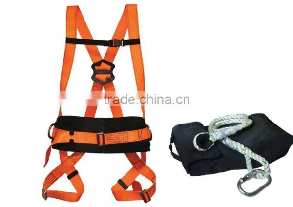 BODY HARNESS
