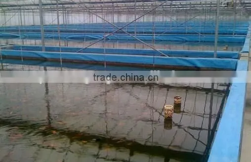 Indoor Fish Farming System