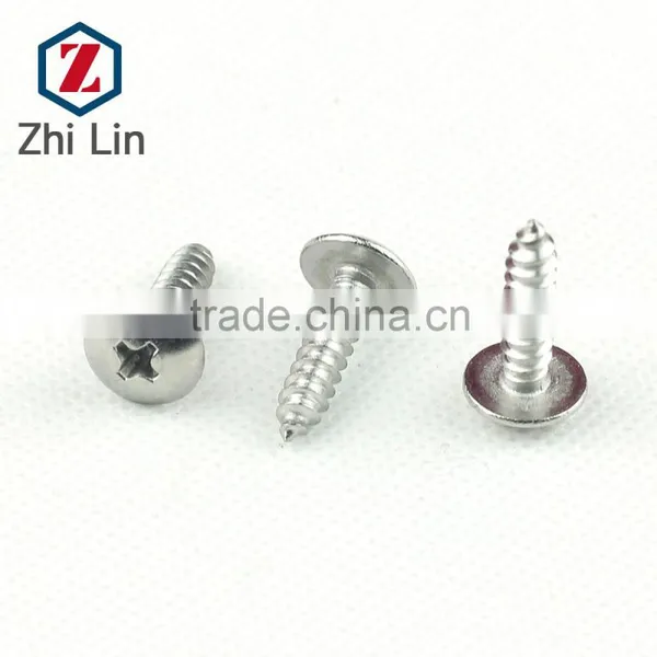 Stainless Steel 304 Largewafer Self Tapping Screw