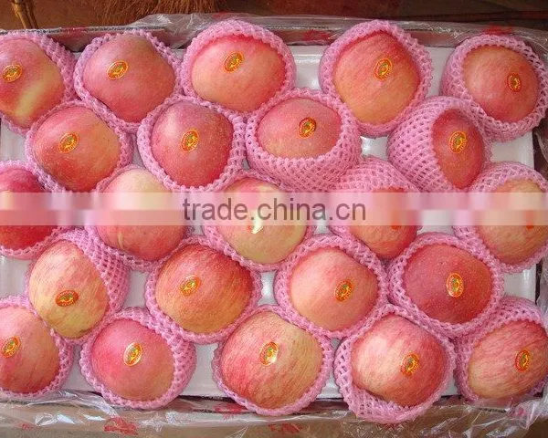 Fuji Apples