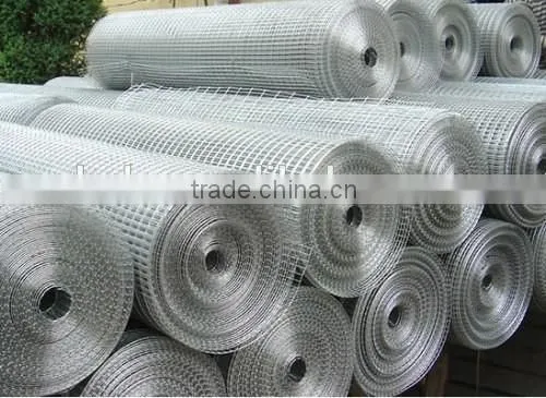 New Product Galvanized Welded Wire Mesh/ Welded Wire Mesh Fence for Sale photo-3