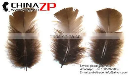 ZPDECOR Unique Plumage Crafts Factory Bulk Dyed Brown Turkey T-Base Body Feathers for Sale photo-2